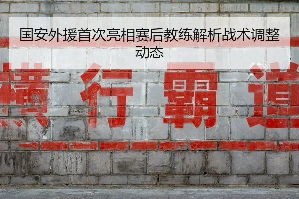 国安外援首次亮相赛后教练解析战术调整动态